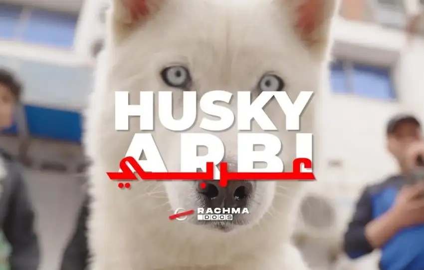Husky Arbi doc thumbnail